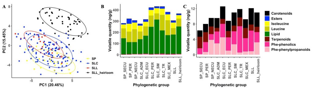Charts of PC1, and two Phylogenetic groups